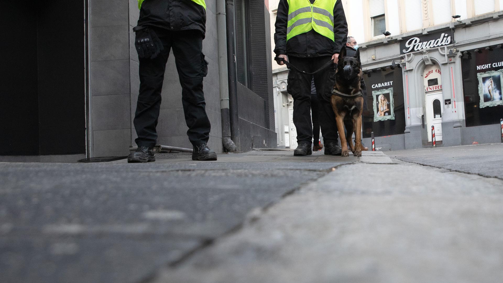 Agentes de segurança privada voltam a patrulhar as ruas da capital mas sem cães a acompanhar.