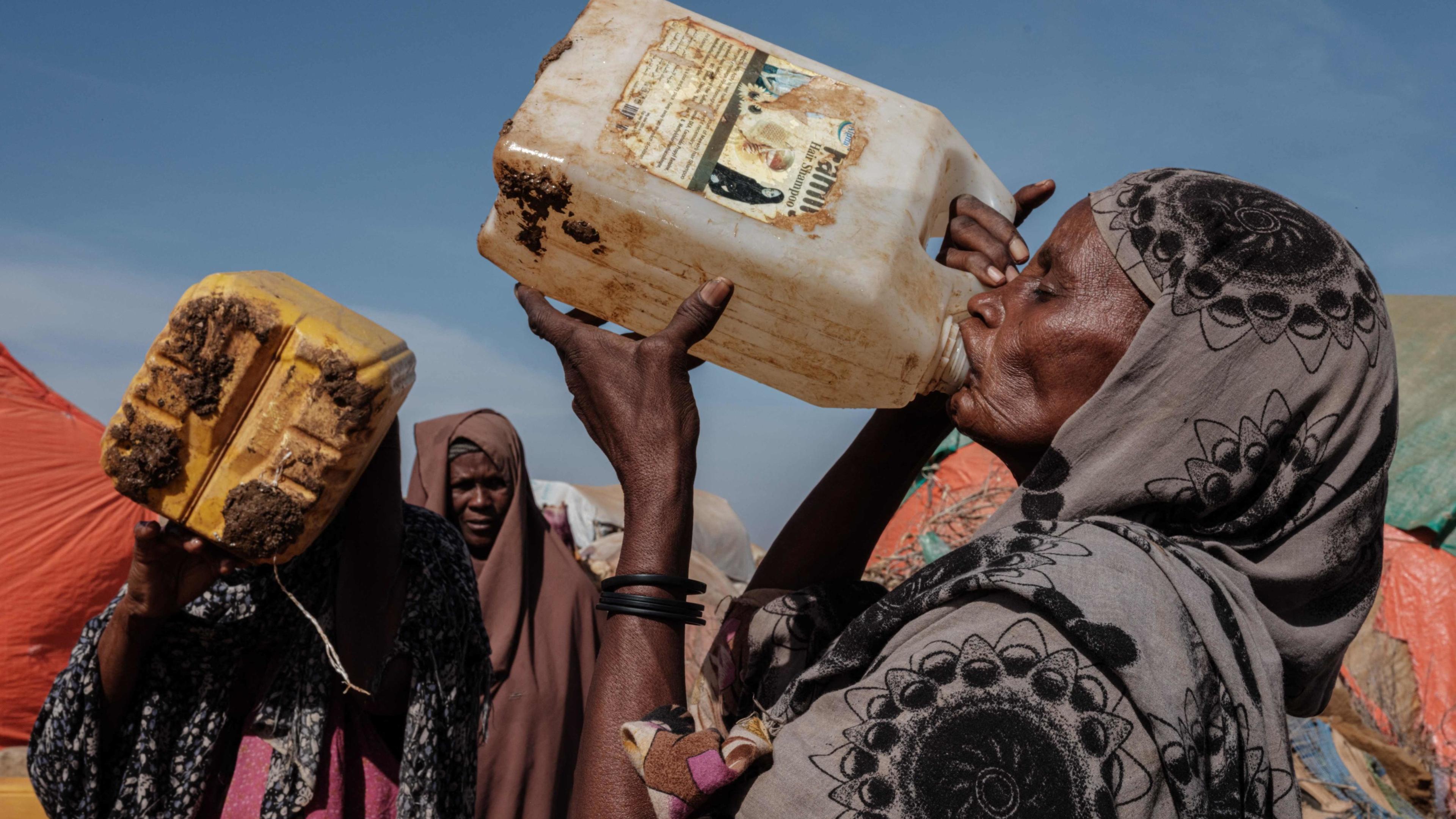 123 milhões de pessoas em África correm risco de morrer à fome | Contacto