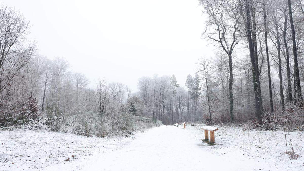 La neige recouvre le Luxembourg d’un manteau blanc: découvrez nos images