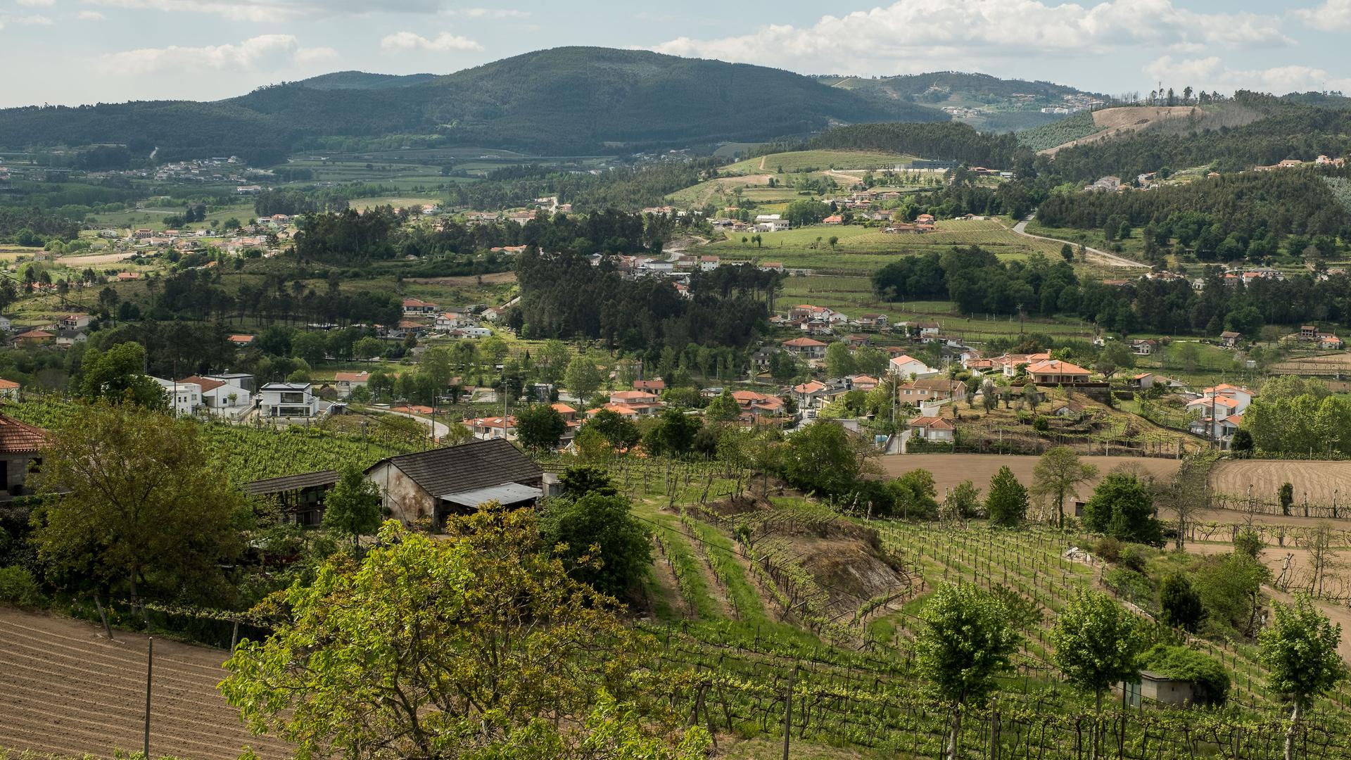 O vale de Lousada é um miradouro para perceber a fragmentação da paisagem rural europeia.
