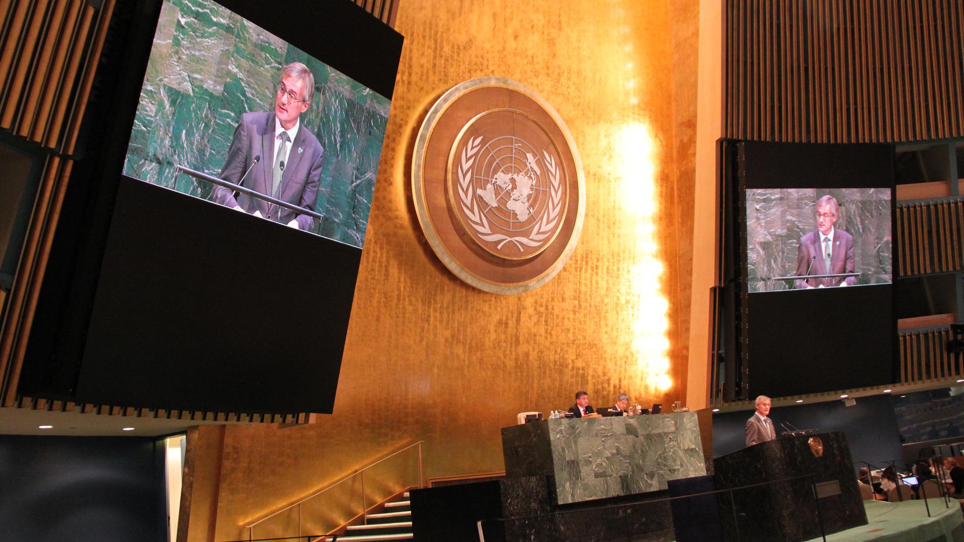 Discursando na ONU