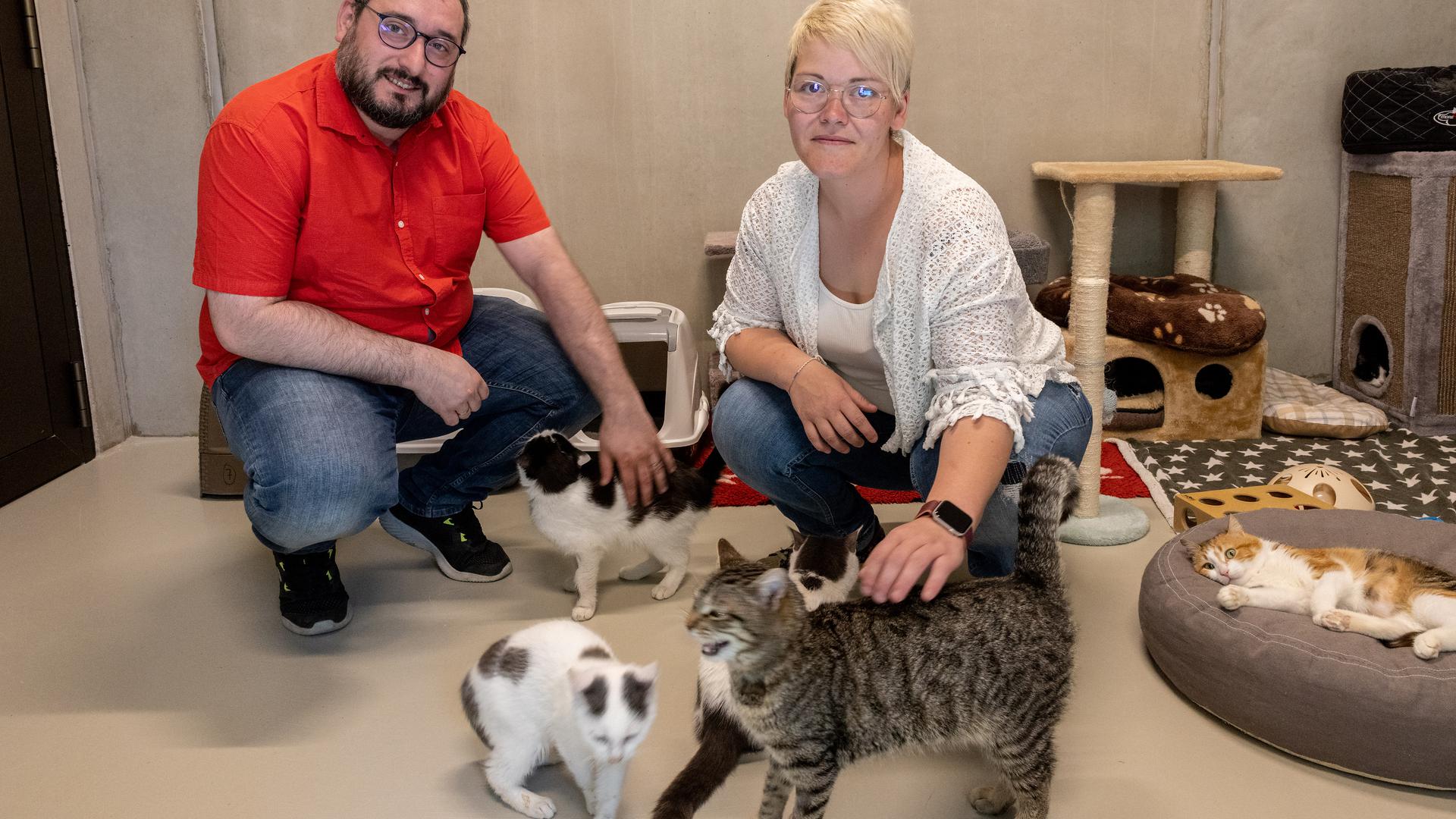 Jennifer Pauwels e o marido Sacha André com alguns dos primeiros gatinhos, chegados em março da Ucrânia, e que já foram adotados.