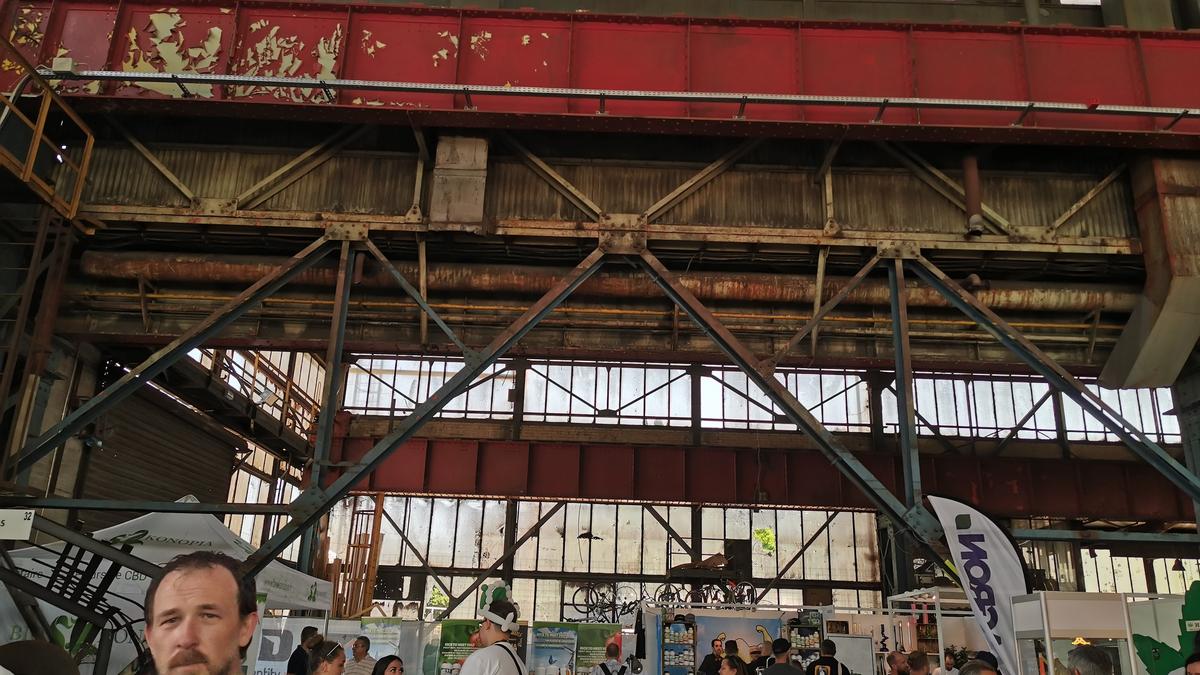 A feira da plantinha milagrosa | Contacto
