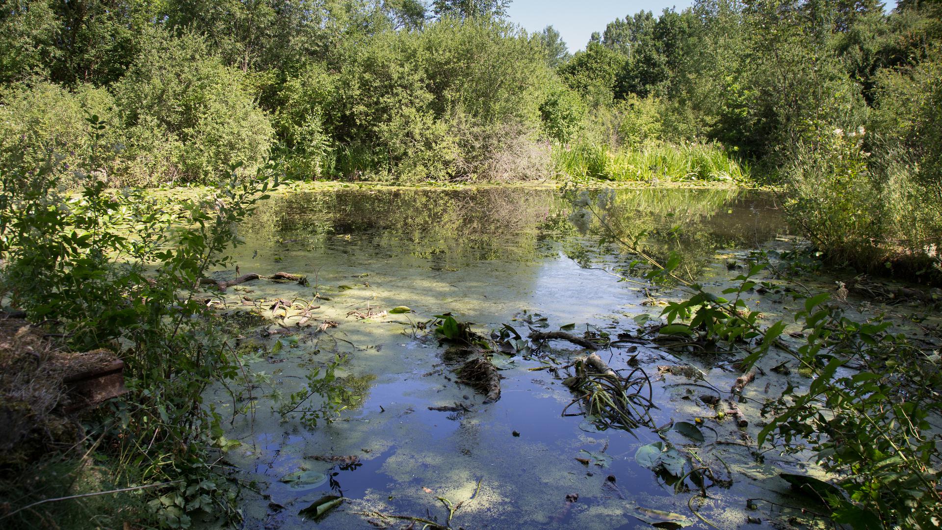 Bianka foi vista pela última vez na área da lagoa em Linger, a 15 de junho de 2015.