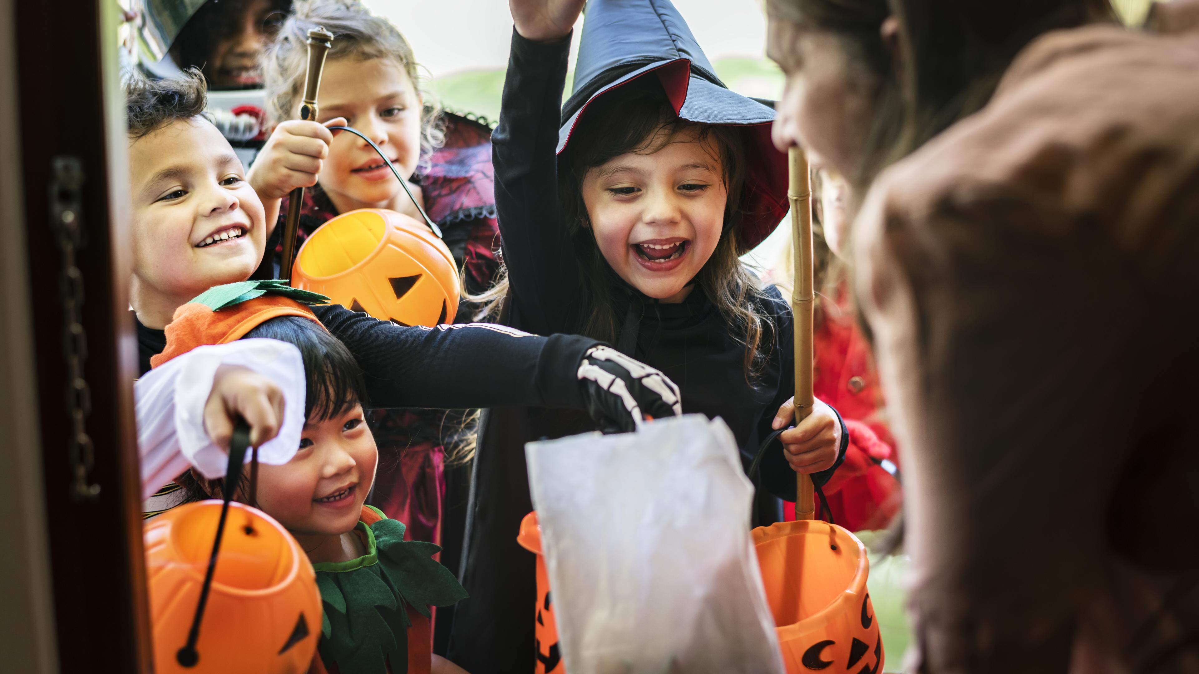 Halloween versus Pão por Deus | Contacto