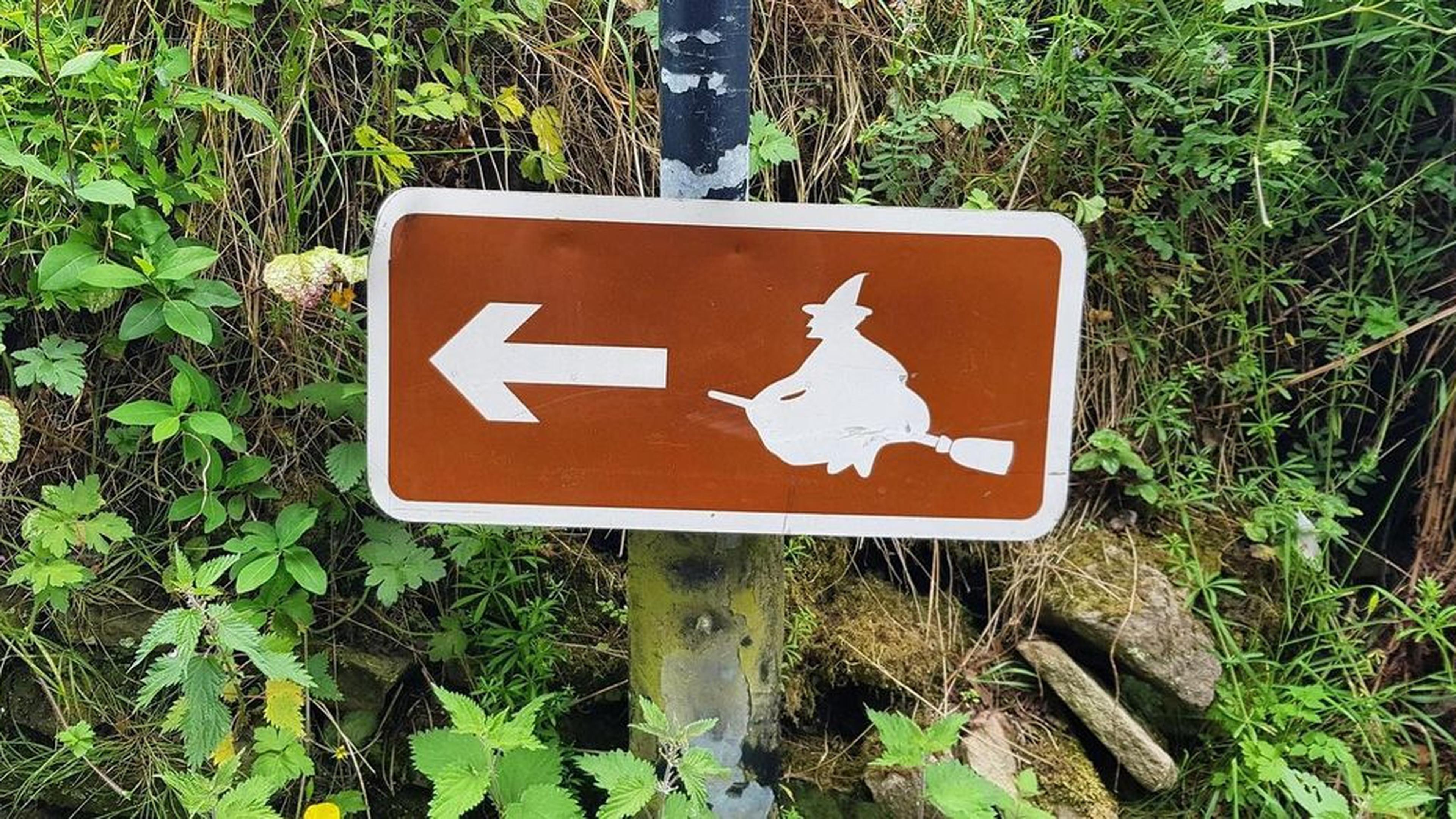 As bruxas estão ON: 5 perfis do Instagram para aprender sobre bruxaria  natural – Nova Mulher