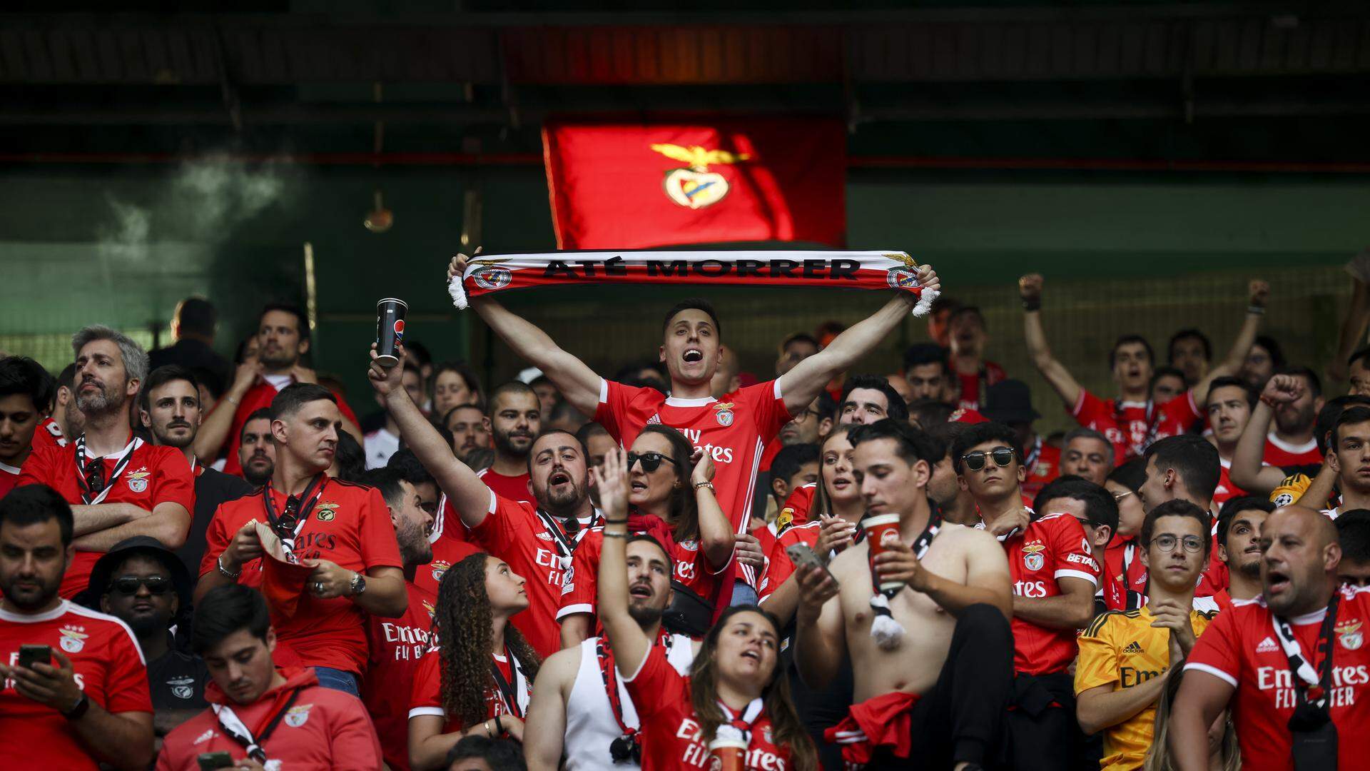 Sábado, às 18h00, Benfica e Porto lutam, em jogos separados, pela Taça de Campeão nacional.